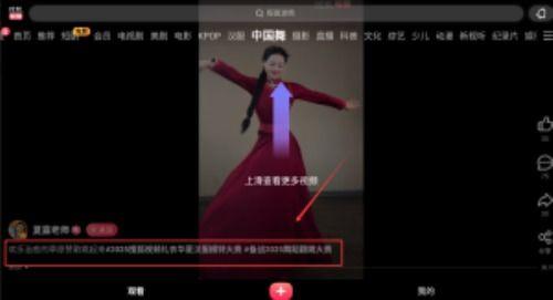 寻找视频,跟随视频脚步探寻世界奥秘