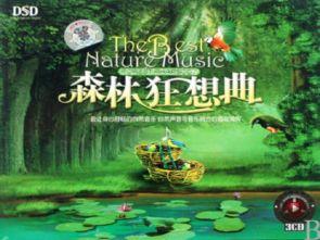 森林狂想曲视频,自然旋律中的心灵之旅