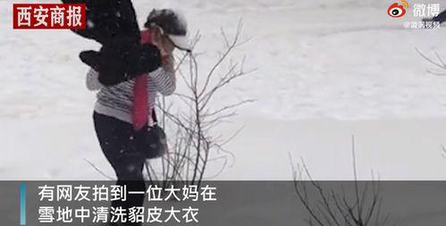 东北大妈视频,展现东北方言魅力与生活风情