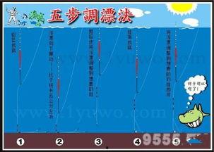 调漂找底视频,视频教程深度解读