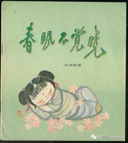 春眠不觉晓视频,探寻自然之美与生命律动