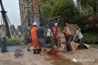 秋千事故视频,秋千事故视频揭示安全警示