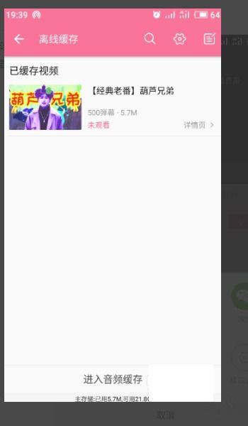 bilibili缓存视频,带你一探究竟的幕后故事