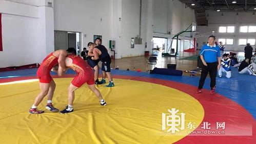 摔跤训练视频,实战技巧解析与训练心得分享