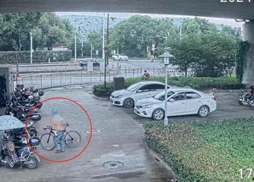 公安车视频,公安车视频助力城市安全监控与交通管理