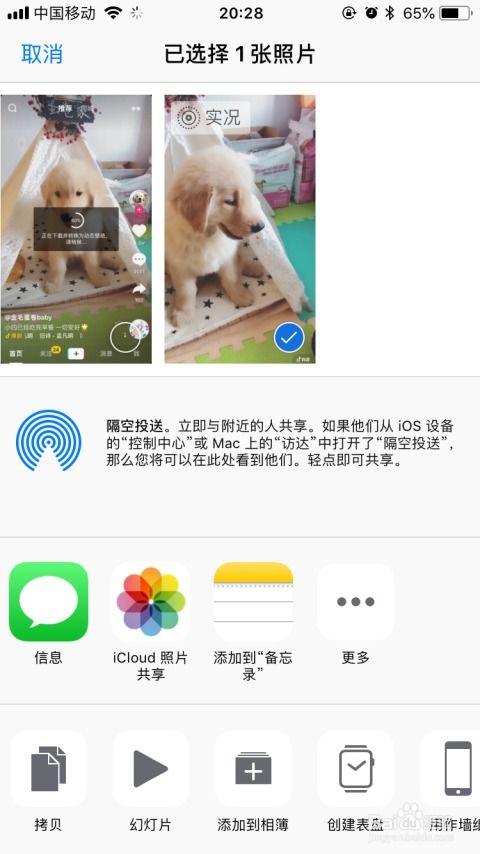 小视频动态,捕捉生活精彩瞬间