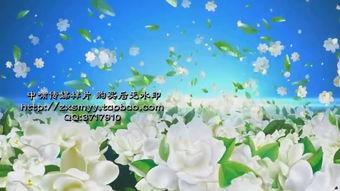 舞蹈茉莉花视频,视频中的古典韵味与民族风情