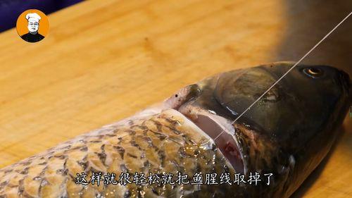 切鱼视频,解锁烹饪技巧，轻松掌握鱼料理艺术