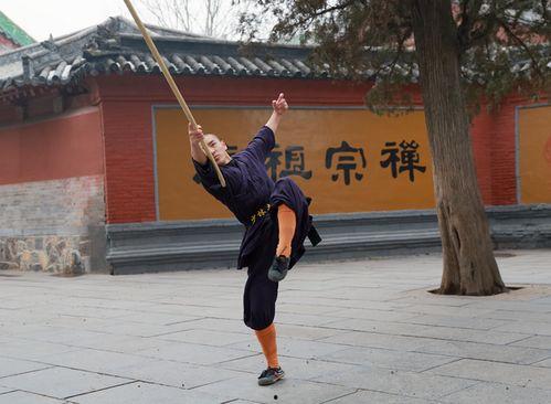 少林武术教学视频,视频教学解析与实战技巧揭秘
