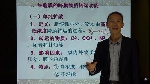 大学试讲视频,大学试讲视频精彩瞬间回顾