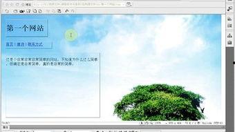制作网页教程视频,从构思到成品的完整步骤解析