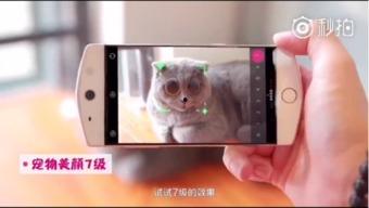 宠物开箱视频,跟随镜头探索宠物用品世界