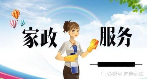 家政服务视频,高效生活从专业服务开始