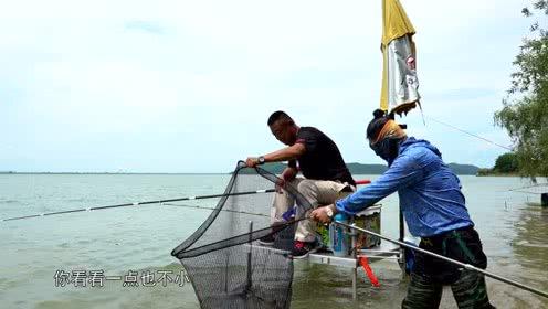 李大毛钓鱼视频,揭秘钓鱼高手独门技巧与自然风光
