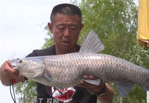 李大毛钓鱼视频,揭秘钓鱼高手独门技巧与自然风光