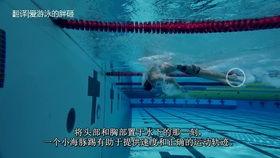 自由泳转身视频,从视频中学到的关键要点