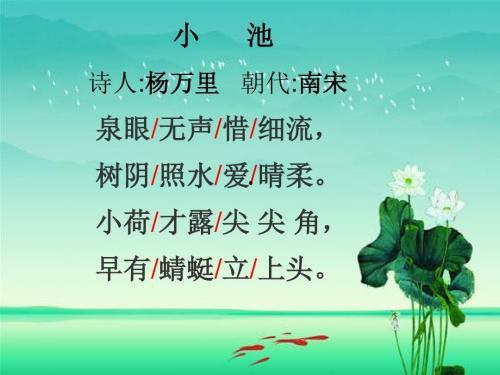 小池古诗视频,诗意盎然，探寻自然之美