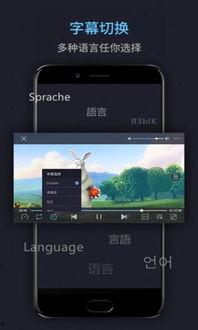 视频播放软件哪个好用,探寻最佳观影体验