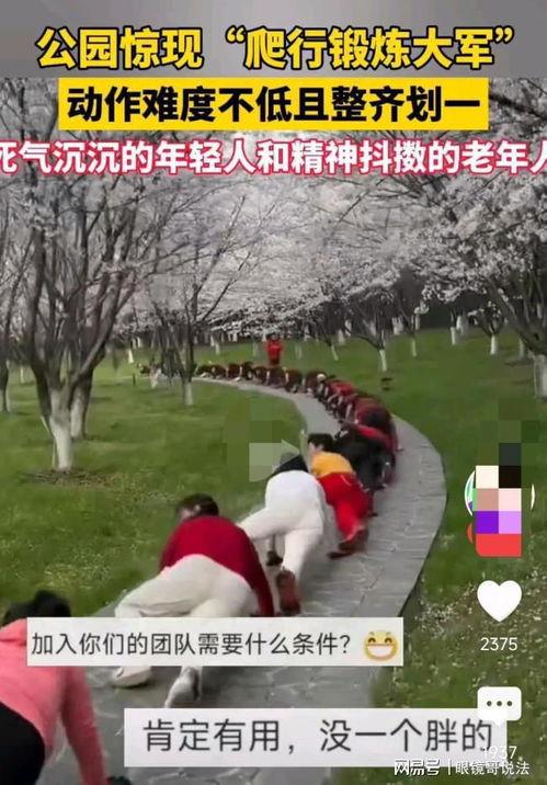 爬行运动视频,视频解析爬行动物运动奥秘