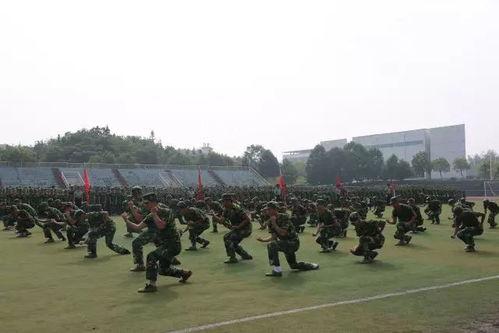 学生军训视频,学生军训视频精彩瞬间回顾
