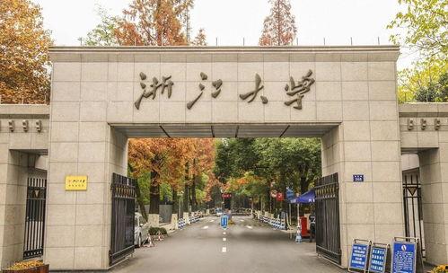 浙江大学视频,探索学术殿堂的奥秘与魅力