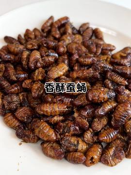 蚕蛹视频,见证生命的奇妙蜕变之旅