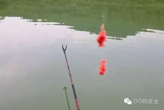拉饵钓鱼视频,视频教学助你成为钓鱼高手