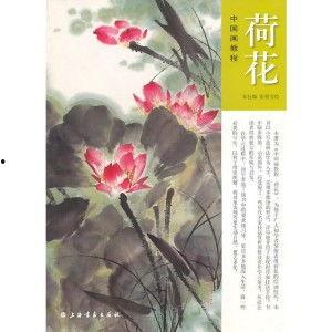 画荷花视频,视频中的自然之美与艺术魅力