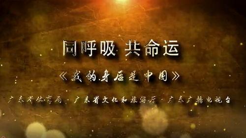 关于正能量的视频,激发心灵阳光，点亮生活希望