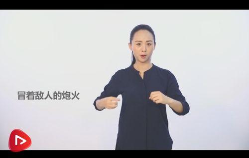 中国手语视频,中国手语视频深度解析