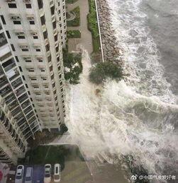 珠海 台风 视频,惊心动魄的狂风暴雨现场直击