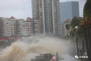 珠海 台风 视频,惊心动魄的狂风暴雨现场直击