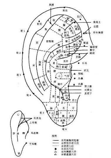耳部按摩视频,轻松掌握养生保健秘诀