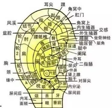 耳部按摩视频,轻松掌握养生保健秘诀