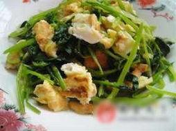 菠菜的做法视频,视频教程轻松学会