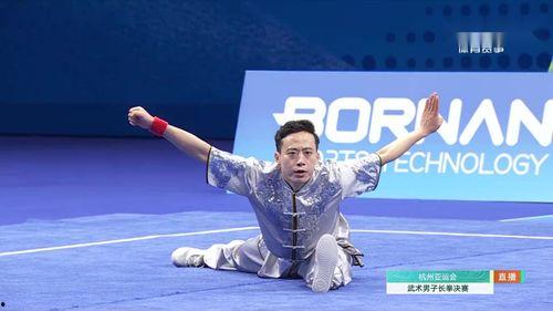 武术长拳视频,领略传统武术魅力，感受中国功夫精髓