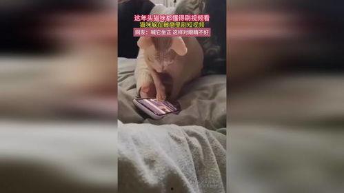 被窝里的视频,揭秘日常生活中的小确幸