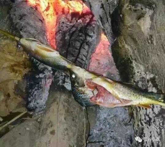 撒鱼视频,揭秘水下捕鱼技巧与乐趣