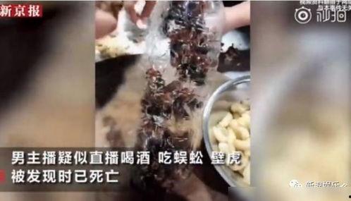 生吃蜈蚣视频,揭秘生吃蜈蚣的惊险瞬间