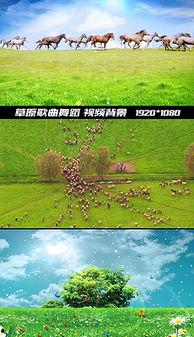 草原歌曲视频大全,经典草原歌曲视频大全回顾