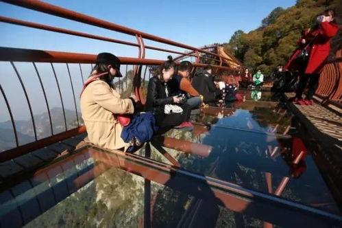 玻璃栈道视频,玻璃栈道惊险刺激之旅