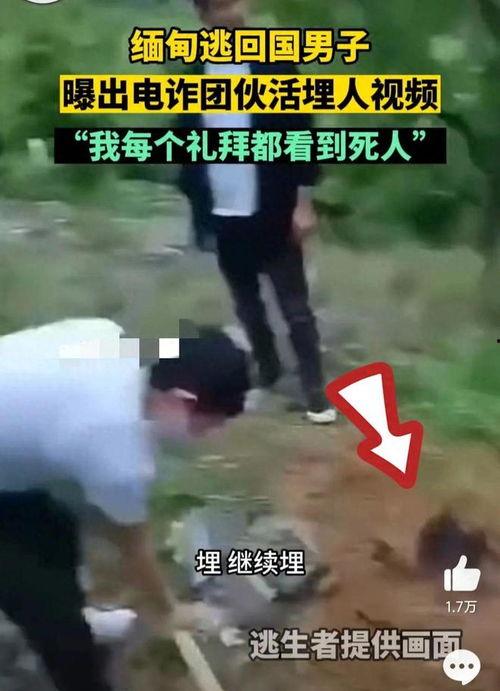 残忍视频,残忍视频背后的残酷现实