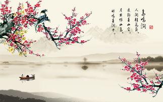 鸟鸣涧视频,自然和谐与生命律动的交响曲
