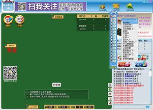 双扣视频,牌技与策略的完美演绎