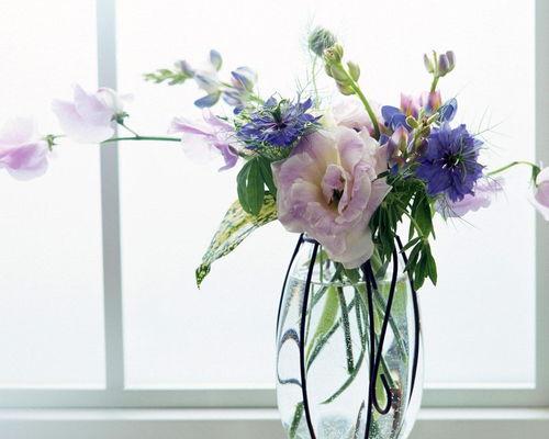 包花神器插花教学视频,轻松掌握插花艺术新技巧