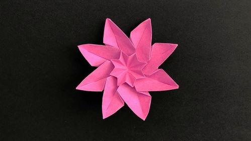 折纸花朵视频,跟随视频教程，轻松制作美丽花朵