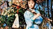 葬花吟视频,穿越时空的哀歌，探寻古典诗词的韵味