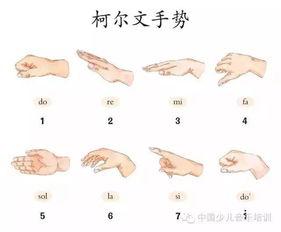 手势歌视频,轻松学习日常用语，趣味互动乐翻天