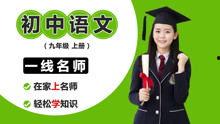 初三视频课程,知识要点一网打尽