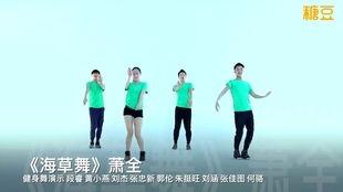 海草舞教学视频,轻松学会热门舞蹈动作